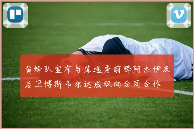 黄蜂队宣布与落选秀前锋阿杰伊及后卫博斯韦尔达成双向合同合作